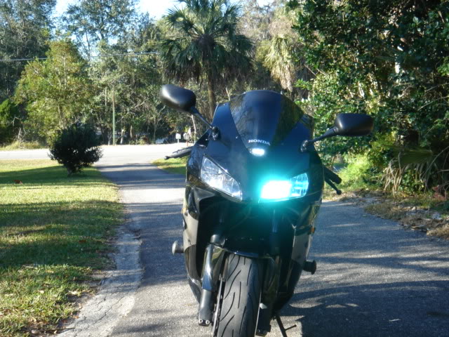 outside001.jpg